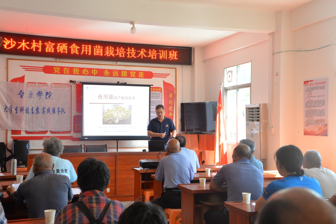 科技兴农食用菌成就乡村特色产业（云浮市农村科技特派员工作信息稿第17期）.doc_1